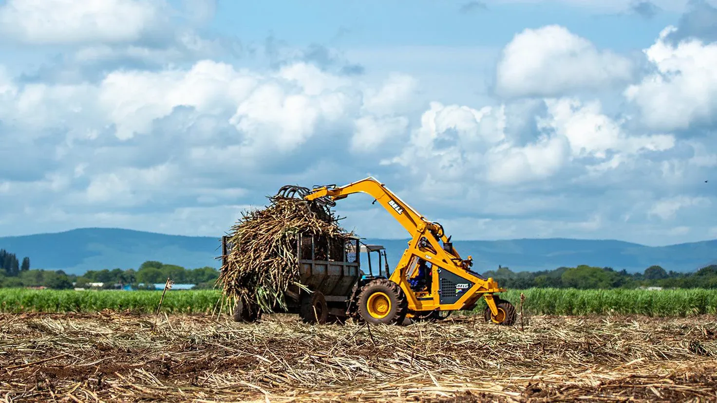 Agriculture